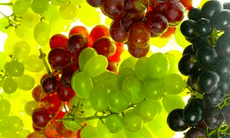 nutritional correction for varicose veins